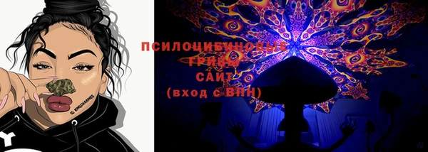 мяу мяу мука Абаза