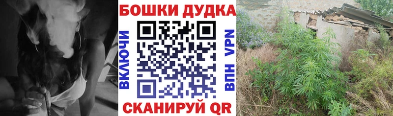 Бошки марихуана THC 21%  Сорск 